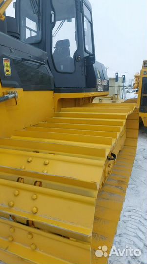 BEL-DOZER SD16, 2024