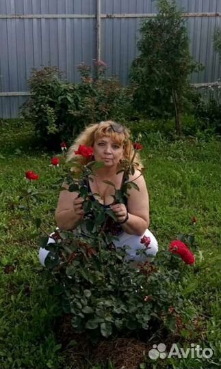 Риэлтор - оценщик