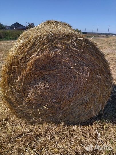 Солома.Сено.Опил.Стружка.Навоз.Мульча. в мешках