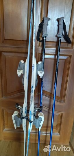 Горные лыжи