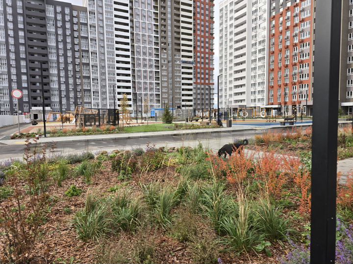 Свободного назначения