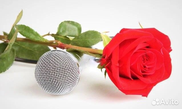 Стихи И песни на заказ, переделки известных песен