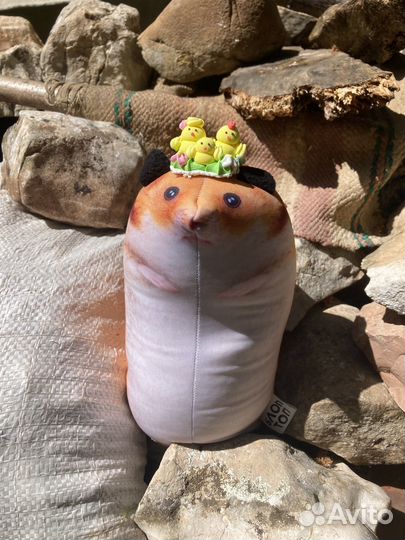 Сирийский хомяк