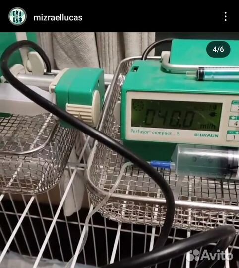 Ветеринарный стационар