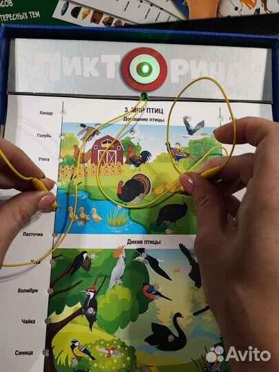 Пикторина, пиктограмма, электровикторина