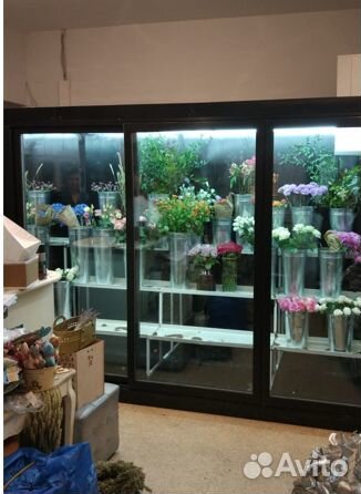 Холодильная камера для цветов