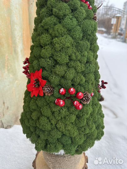 Елка из стабилизированного мха