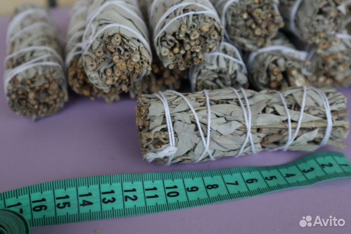 Шалфей Белый от 300шт опт для Озон