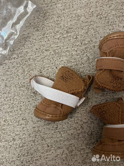 Новая обувь для собак