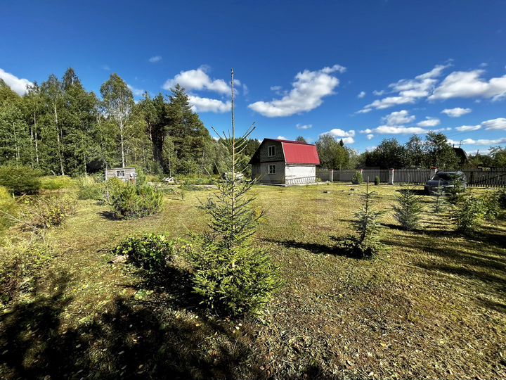 Дача 48 м² на участке 12 сот.