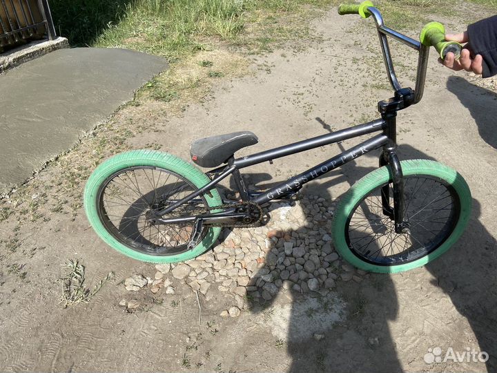 BMX tech team grasshopper