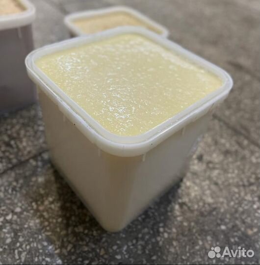 Мед донниковый свежий опт