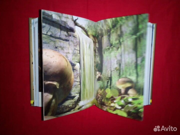 Артур и минипуты иллюстрированное издание