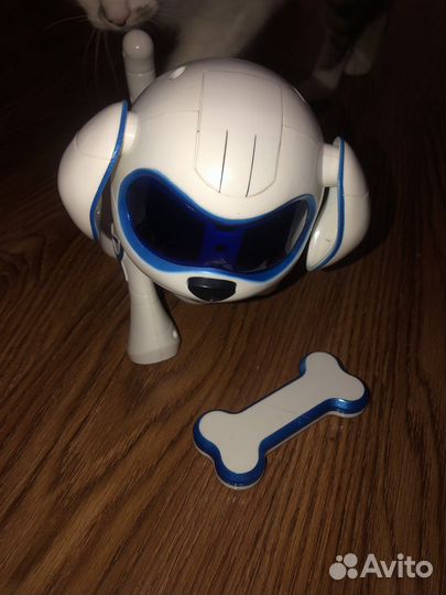 Собака робот дружок