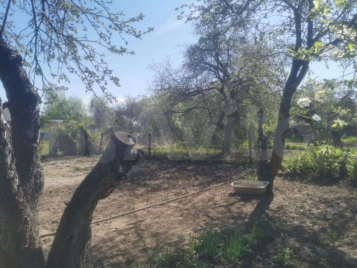 Участок 4 сот. (СНТ, ДНП)