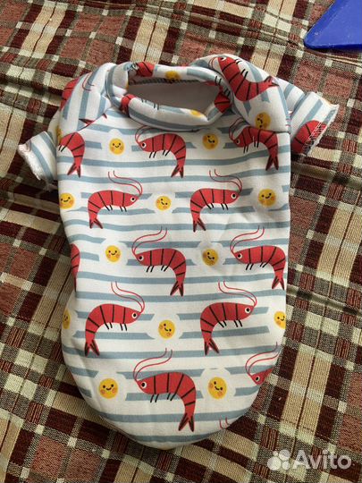 Вещи для маленьких собак