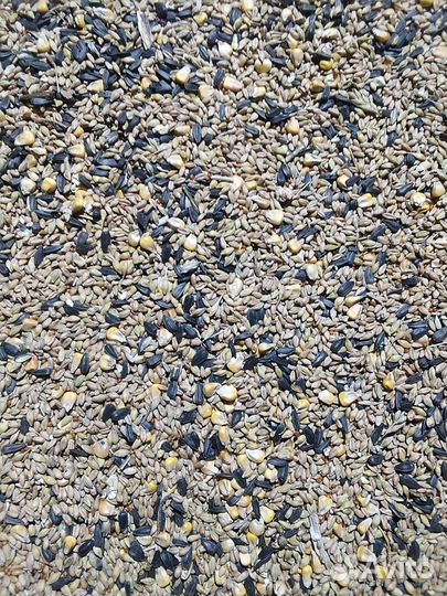 Зерно смесь дробленка, целая