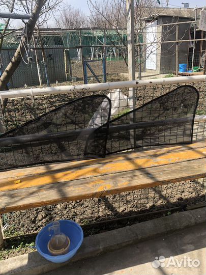 Сетка для окон на весту