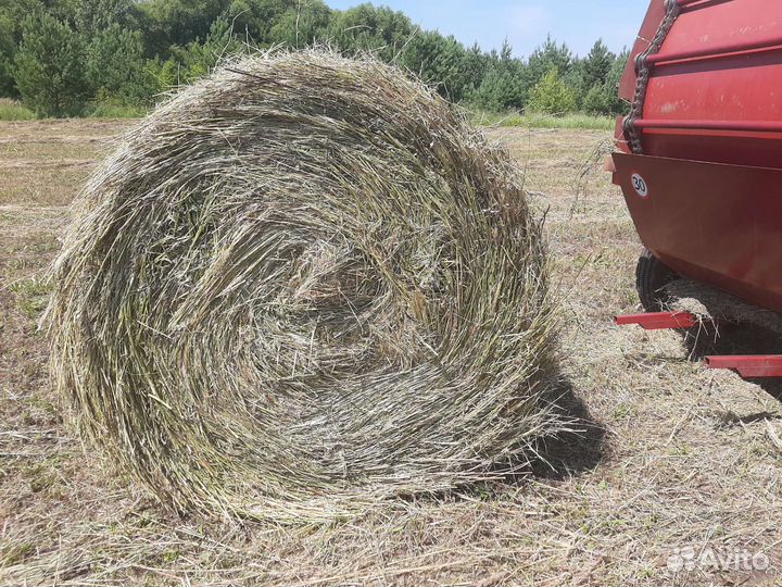 Сено в рулонах 2023 350кг