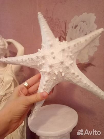 Морская звезда натуральная кашпо для цветов новое