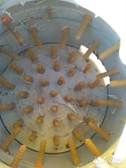 Перощипательная машина