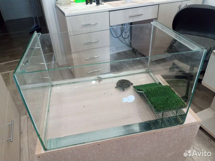 Террариум 30 литров с красноухой черепахой