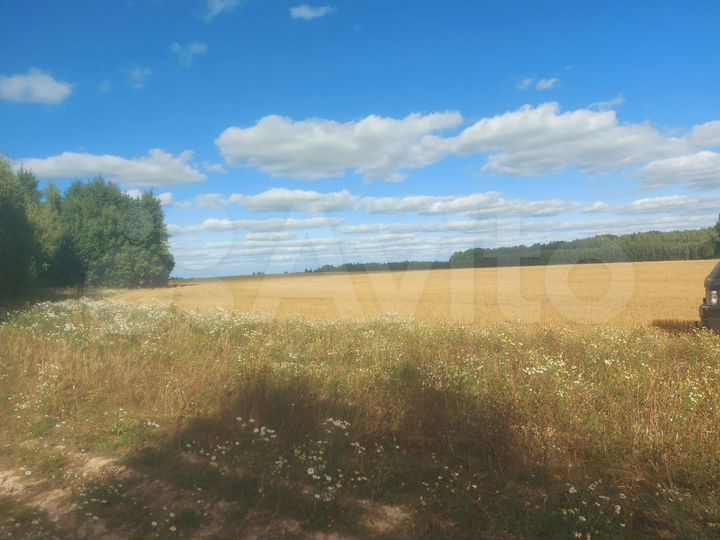 Участок 15 га (СНТ, ДНП)