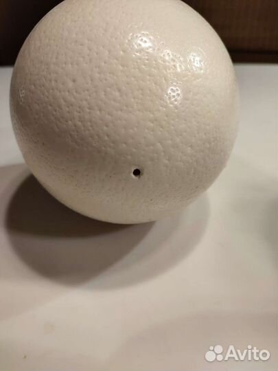 Яйцо страусиное пустое