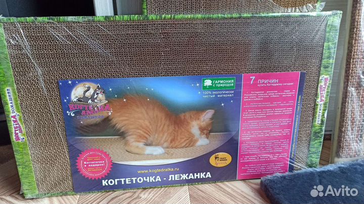 Когтеточки