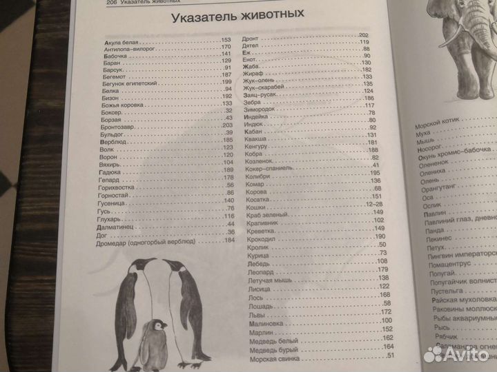 Книга для начинающих художников