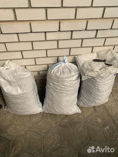 Грецкий орех в скорлупе