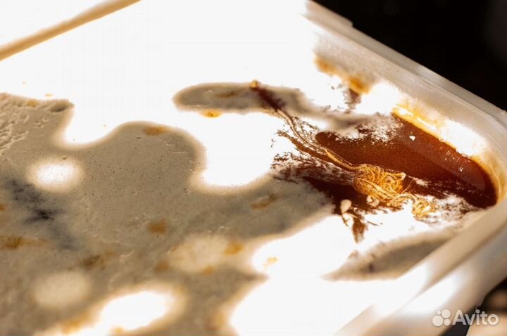 Мед натуральный разнотравие Солонешное Алтай