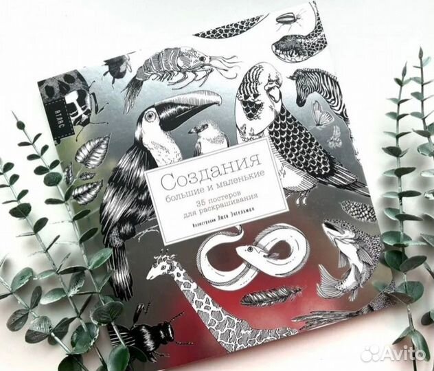 Энциклопедия раскраска антистресс новая