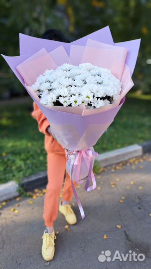 Букет гигант из ромашек (хризантемы)