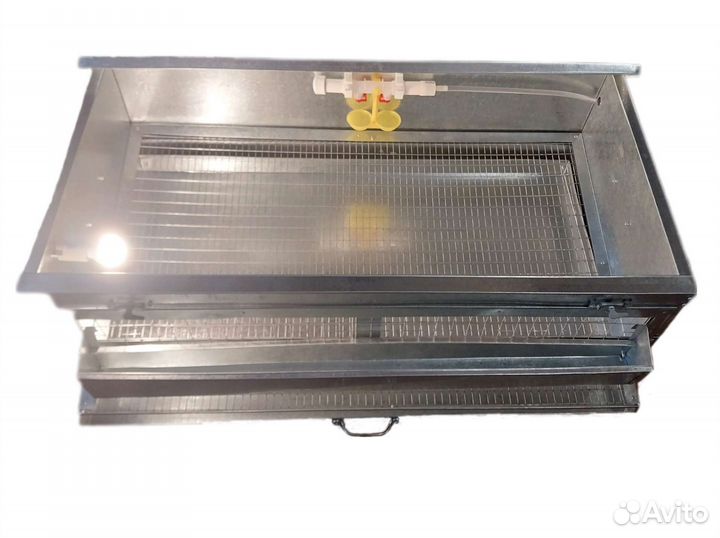 Брудер клетка для перепелов с яйцесборником