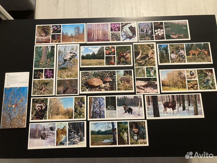 Набор открыток Центрально-лесной Заповедник