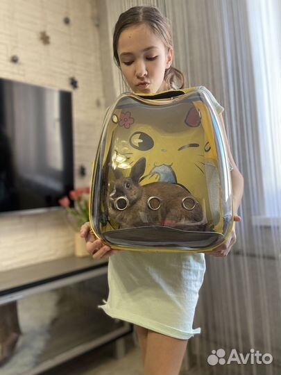 Рюкзак переноска сумка переноска