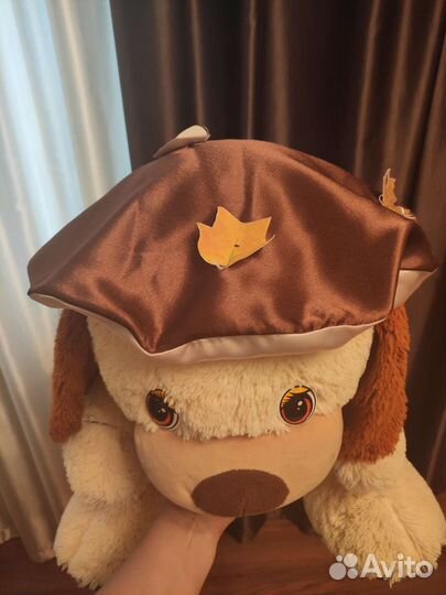 Шапка гриба