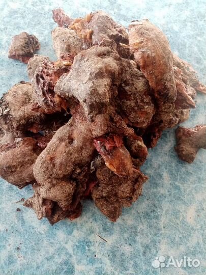 Камедь лиственницы