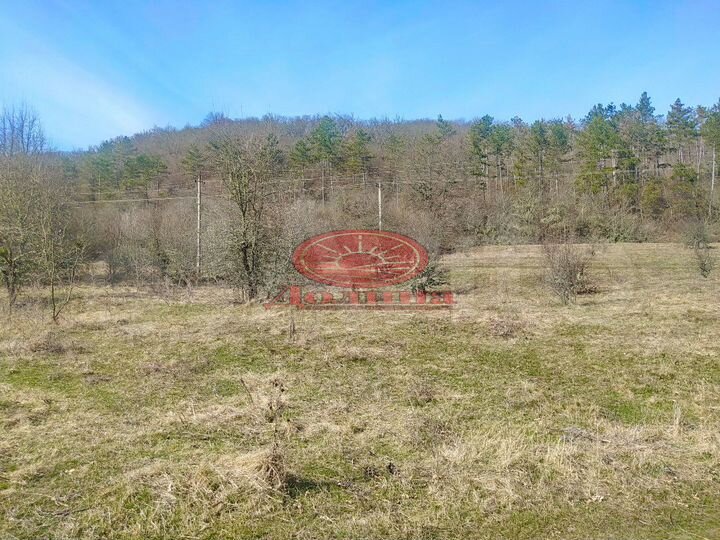 Участок 48 сот. (СНТ, ДНП)