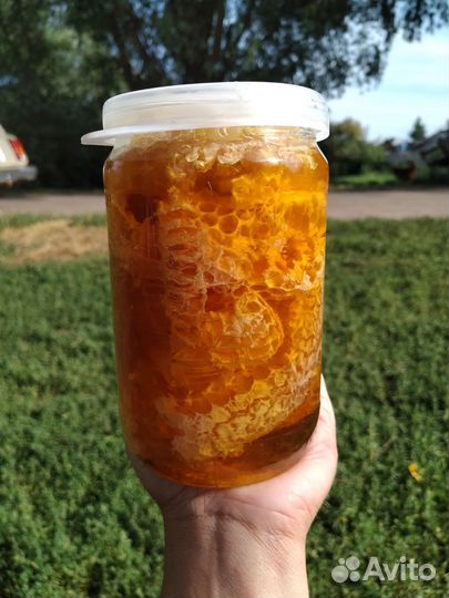 Мёд цветочный 2023, мед в сотах