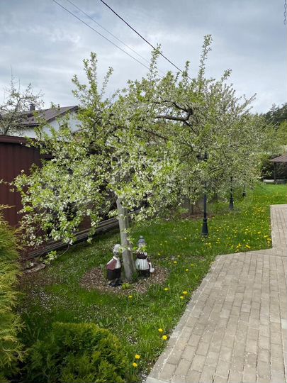 Дом 302 м² на участке 8 сот.