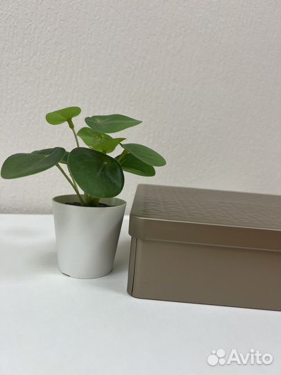 Коробка для хранения косметики