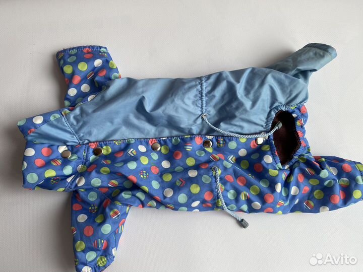 Комбинезоны для собаки мелкой породы