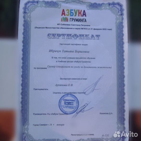 Стрижка собак груминг