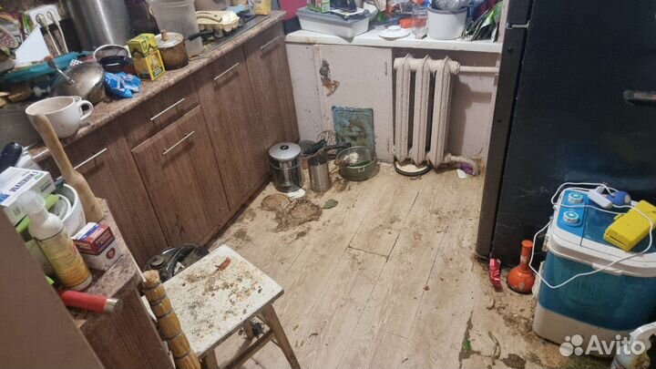 Вынос мусора и антисанитарии перед уборкой