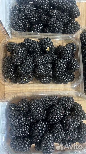 Клубника свежая ягода