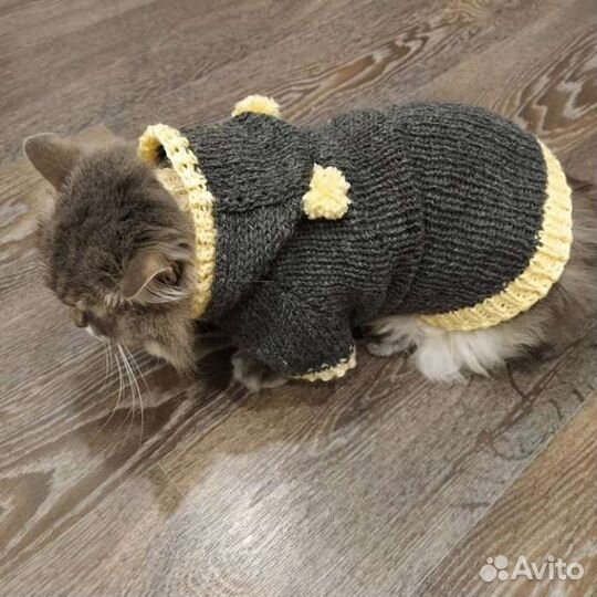 Одежда для животных (кошек и собак)