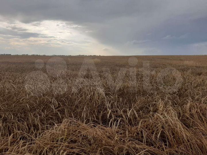 Участок 6,5 га (СНТ, ДНП)