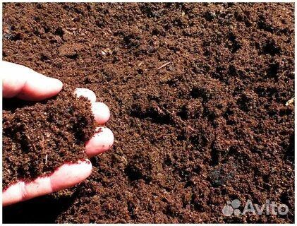 Перегной и навоз